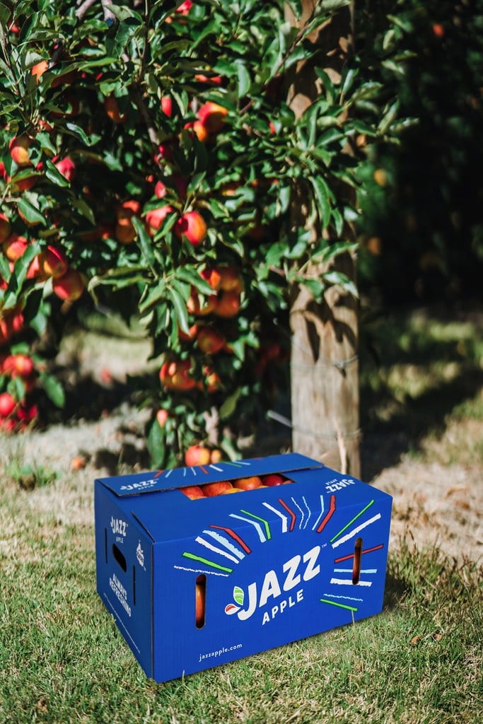 Orchard photography for British JAZZ™ apples 20 year anniversary feature